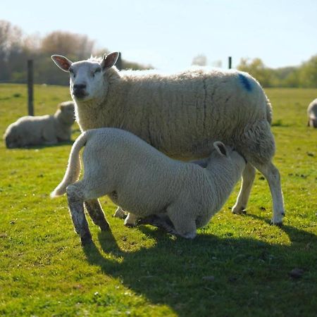 Bed and Breakfast The Byre North End Farm Ashton Keynes Экстерьер фото