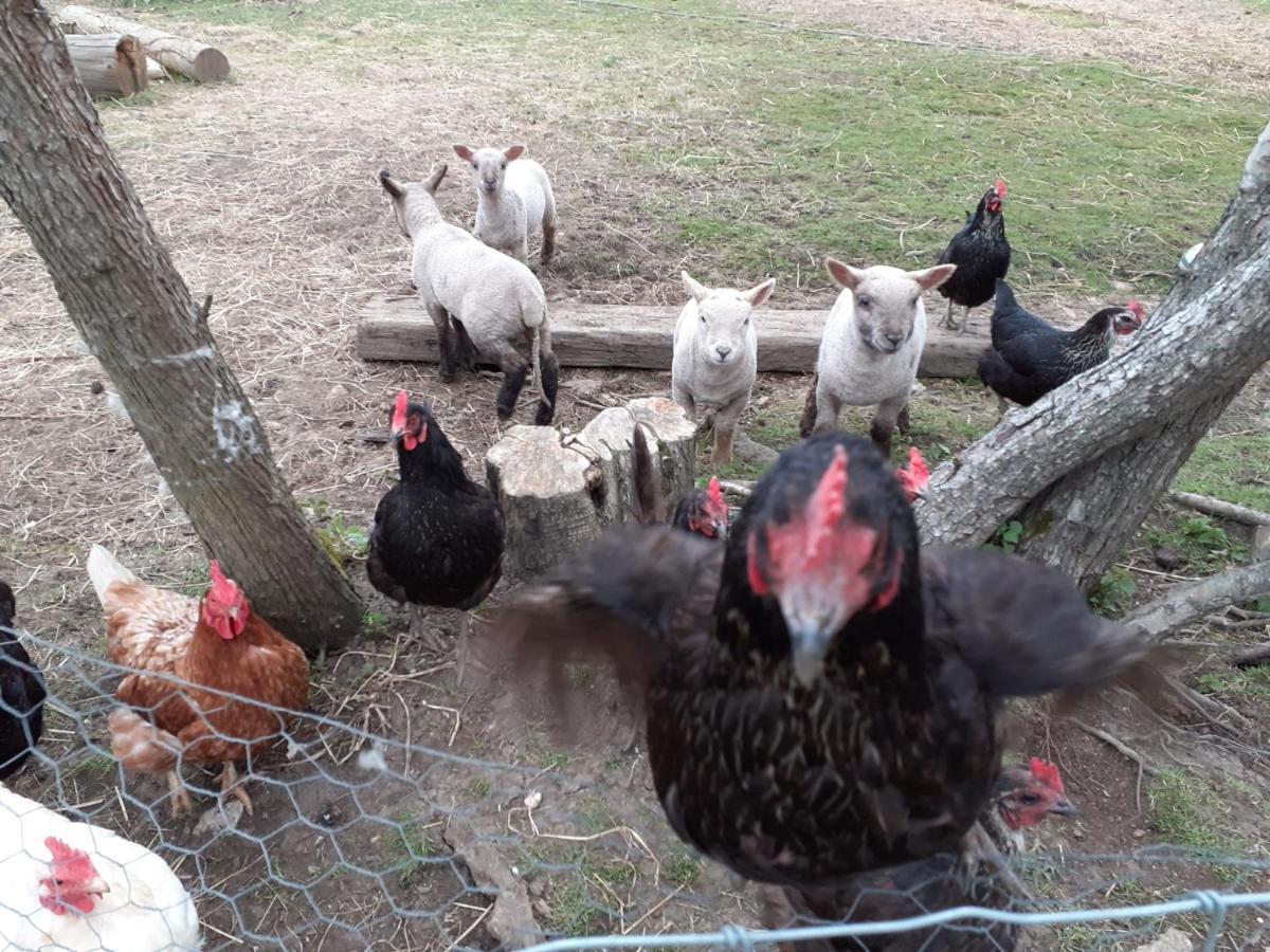 Bed and Breakfast The Byre North End Farm Ashton Keynes Экстерьер фото